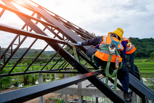 Best Metal Roofing Contractor  in Bridgeport, MI