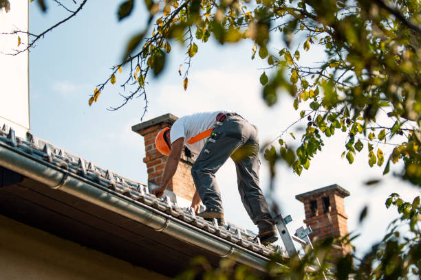 Best New Roof Installation  in Bridgeport, MI