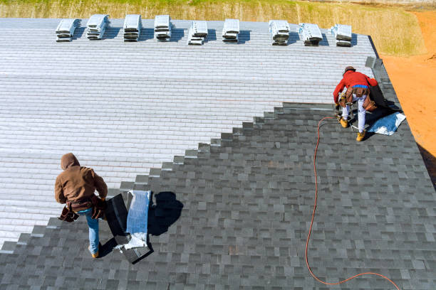 Best Roof Gutter Cleaning  in Bridgeport, MI