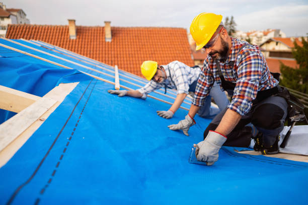 Best Residential Roofing Contractor  in Bridgeport, MI