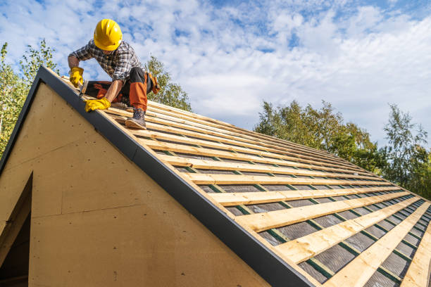 Best Roof Waterproofing Services  in Bridgeport, MI