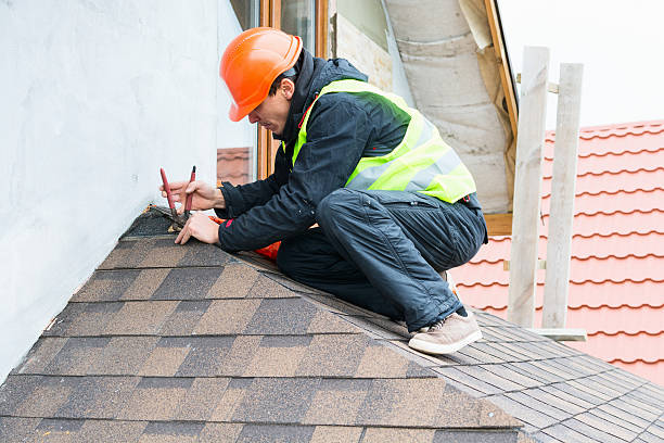 Best Roof Inspection Near Me  in Bridgeport, MI
