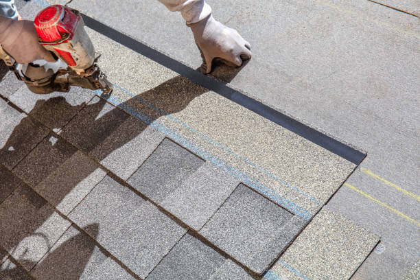Best Residential Roofing Contractor  in Bridgeport, MI