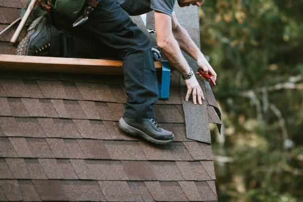 Best Roof Leak Repair  in Bridgeport, MI